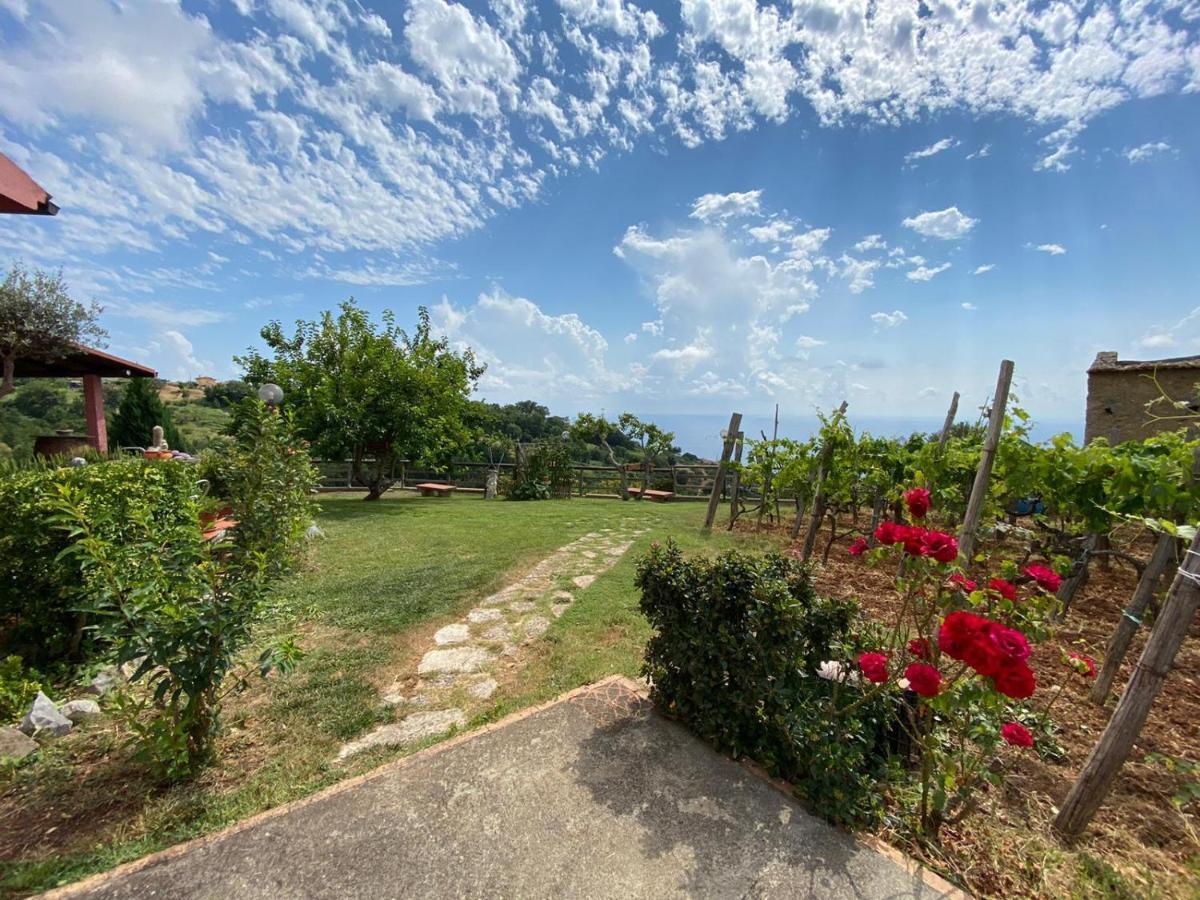 B&B La Sirenetta Diamante Bagian luar foto